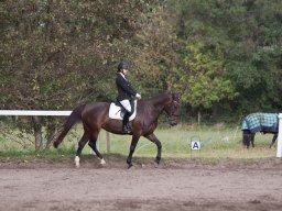 IMG_7920_web